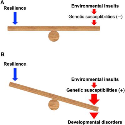 Analysis of Gene-Environment Interactions Related to Developmental Disorders